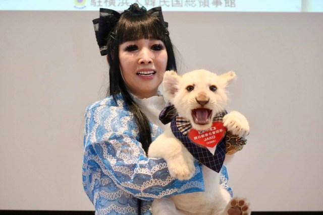 【2点購入150円引】ライオンくんがうまれたよ　やまもとよしこ 赤ちゃんのホワイトライオン「JAKO」、韓日親善名誉領事に委嘱